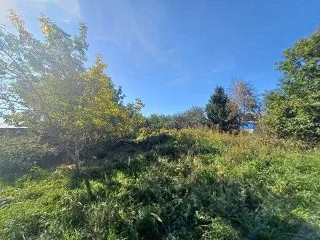 Участок в Московская область, Сергиево-Посадский городской округ, д. ... - Фото 1