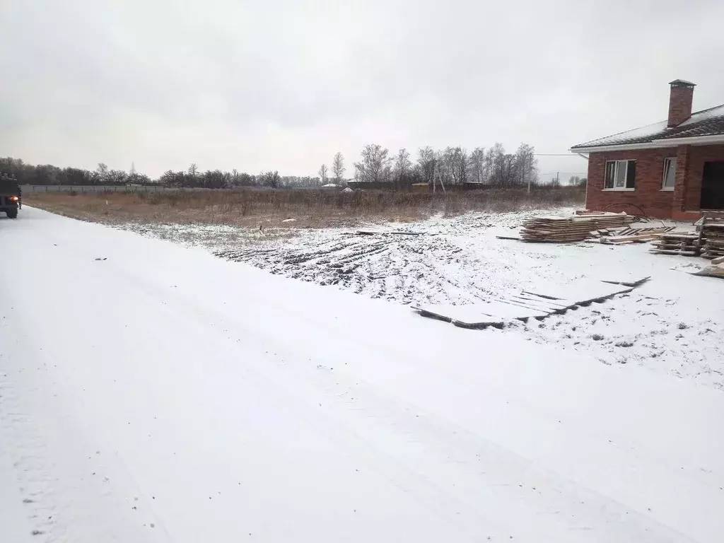 Участок в Рязанская область, Рыбновский муниципальный округ, ... - Фото 1