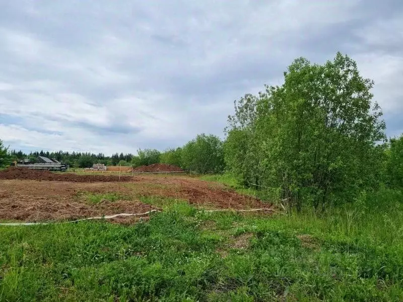 Участок в Пермский край, пос. Протасы, 7-й кв-л  (8.21 сот.) - Фото 2