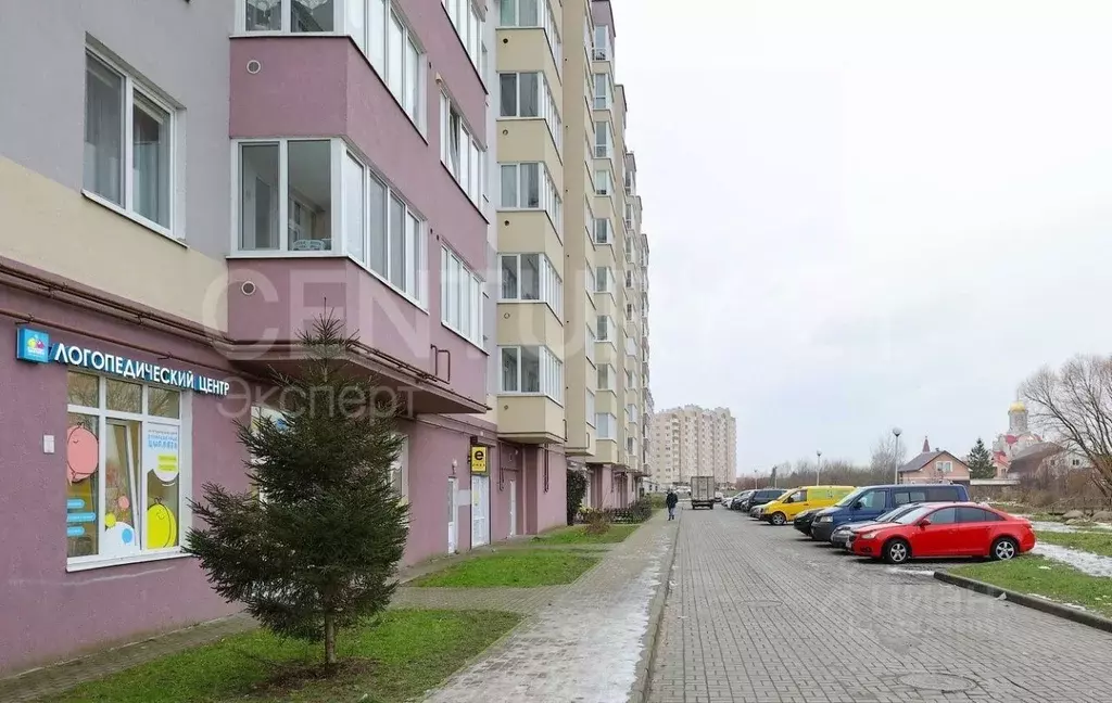 Помещение свободного назначения в Калининградская область, Калининград ... - Фото 0