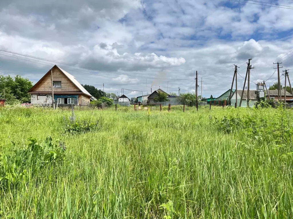 Участок в Пензенская область, Бессоновский район, с. Лопатки ... - Фото 0