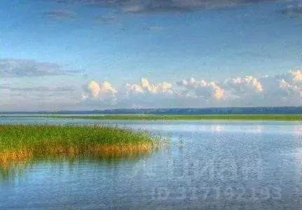 Участок в Ленинградская область, Приозерский район, Плодовское с/пос, ... - Фото 0