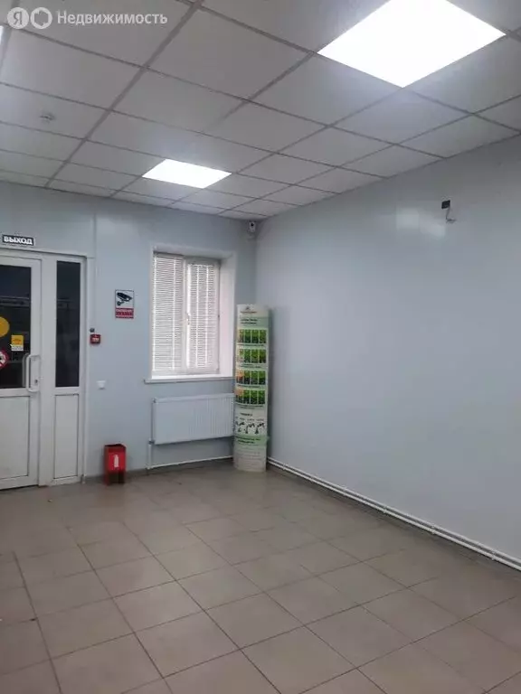 Помещение свободного назначения (62.5 м) - Фото 2