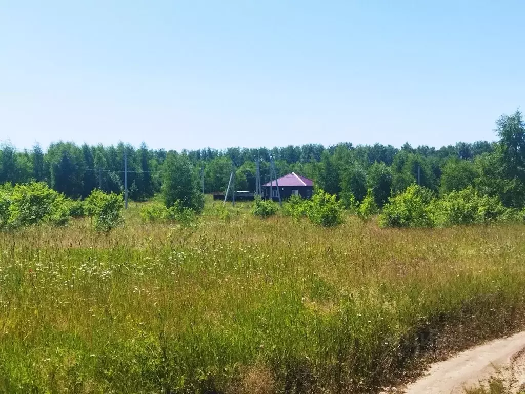 Участок в Тульская область, Ясногорский район, Иваньковское ... - Фото 0