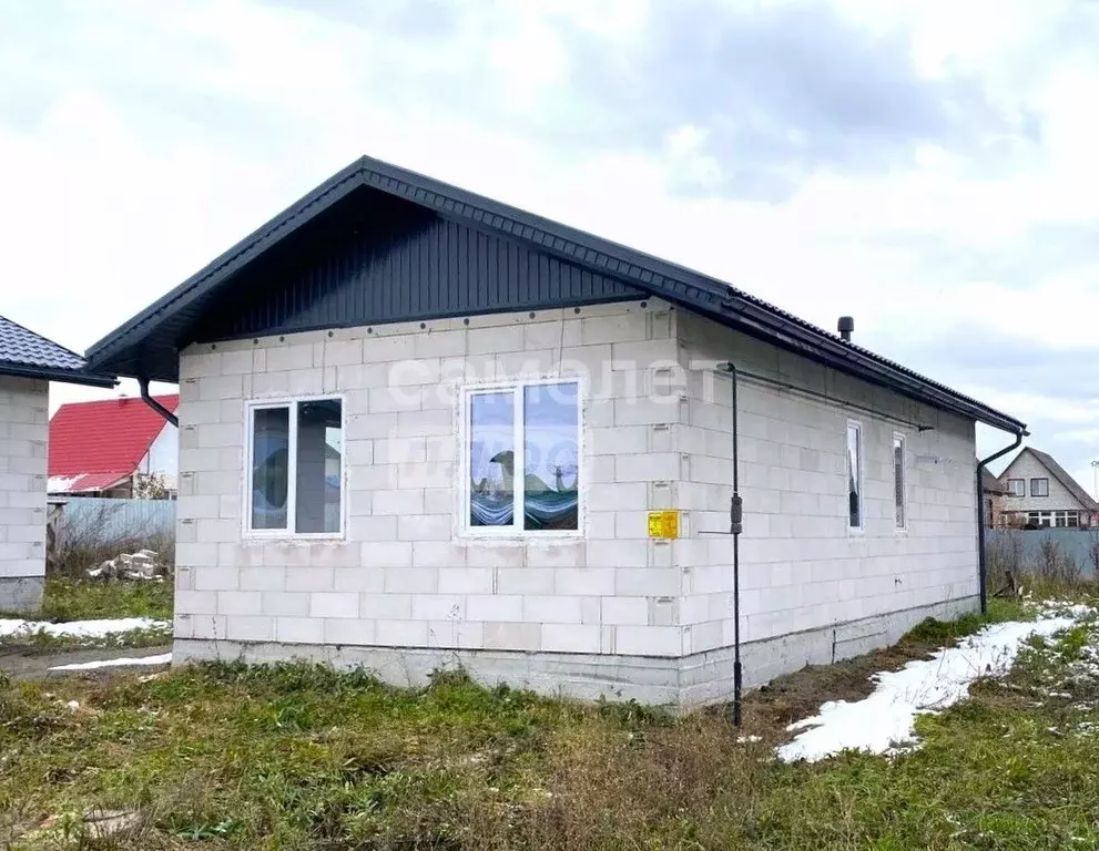 Дом в Алтайский край, Барнаул городской округ, пос. Лесной пер. 30-й, ... - Фото 2