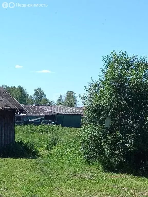 Участок в село Елыкаево, Совхозная улица (15 м) - Фото 1