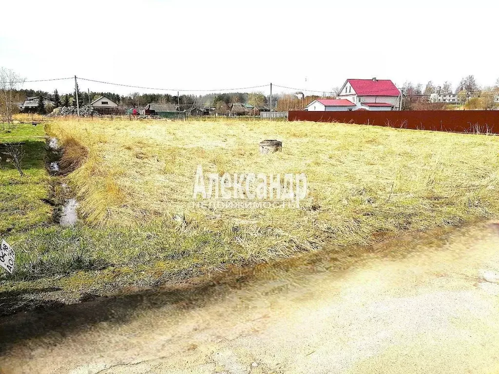 Участок в Ленинградская область, Приозерский район, Ромашкинское ... - Фото 0