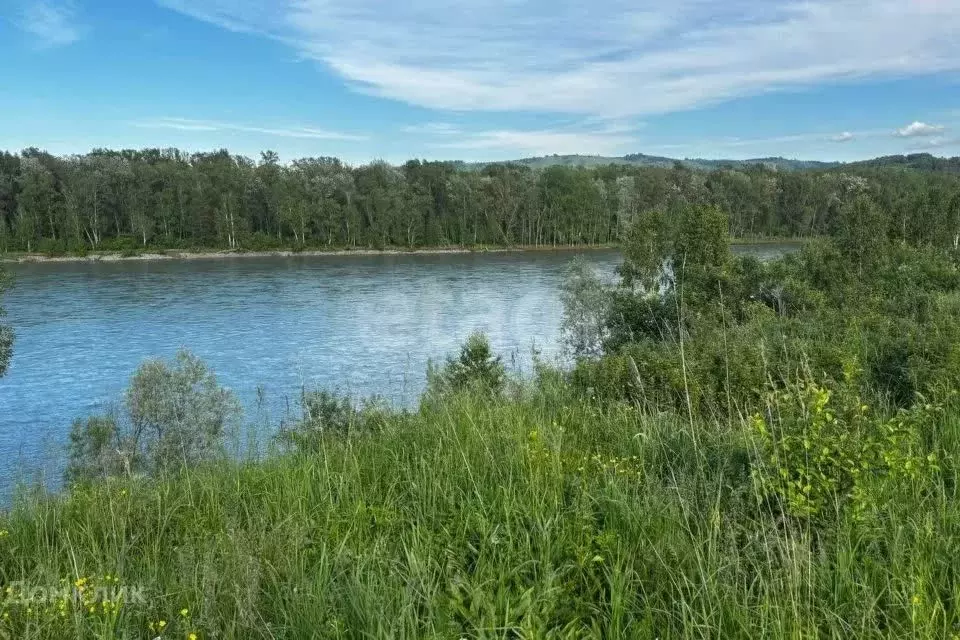 Участок в Алтай, Майминский район, с. Подгорное ул. Прибрежная (20.0 ... - Фото 1