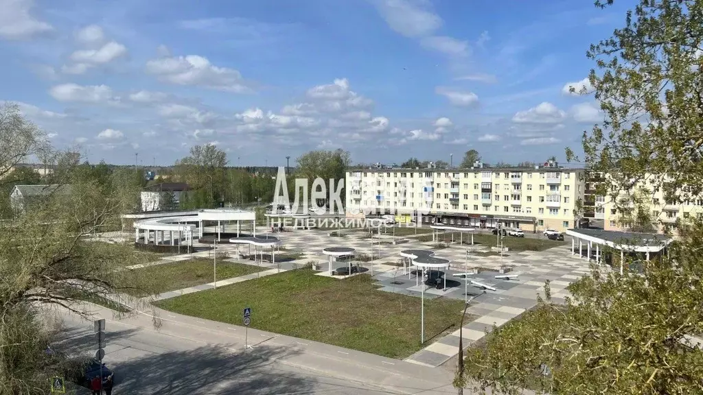 2-к кв. Ленинградская область, Светогорск Выборгский район, ул. ... - Фото 1