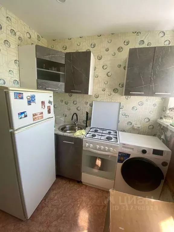 1-к кв. Оренбургская область, Бузулук 4-й мкр, 41 (26.4 м) - Фото 1