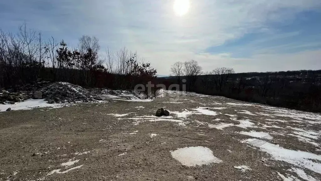 Участок в Приморский край, Надеждинский район, Тавричанское урочище ... - Фото 0