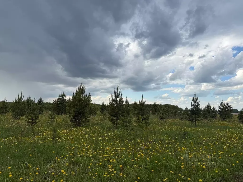 Участок в Тюменская область, Тюменский район, с. Горьковка  (7.64 ... - Фото 0