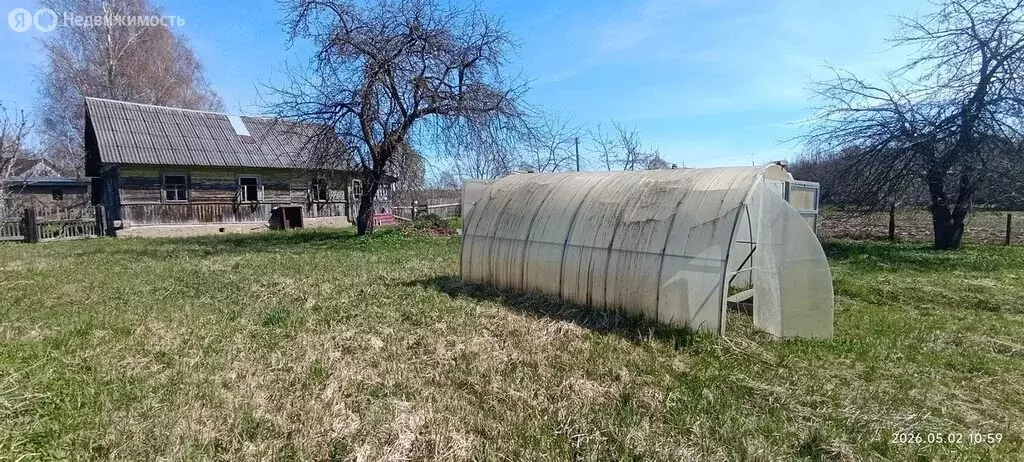 Дом в Смоленский муниципальный округ, деревня Борок (Катынское ... - Фото 1