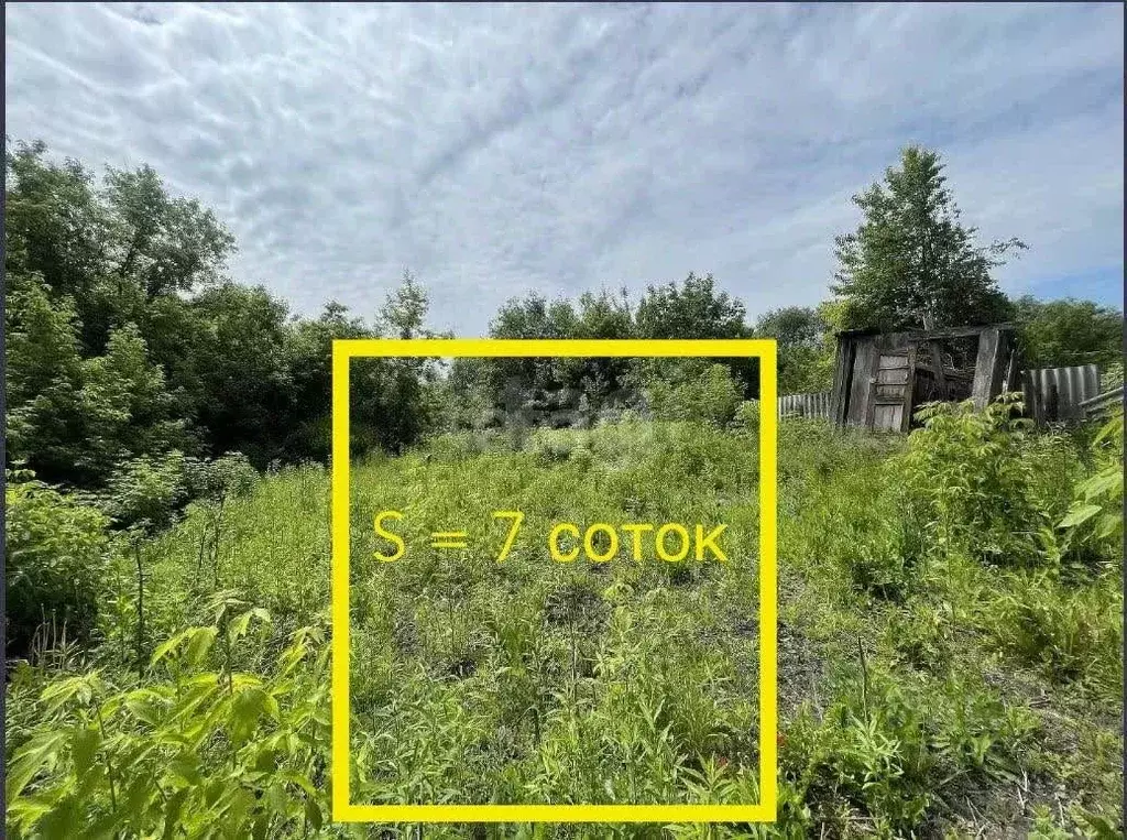 Участок в Брянская область, Брянский район, Супоневское с/пос, с. ... - Фото 0