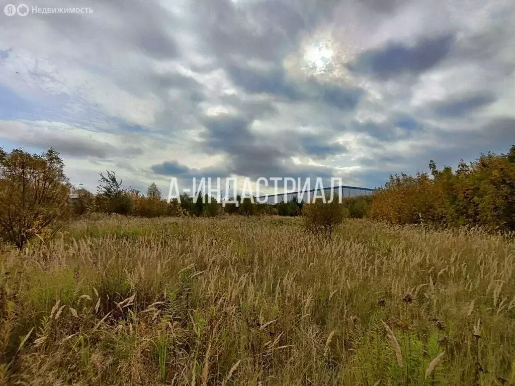 Участок в село Ям, Каширское шоссе (131 м) - Фото 2