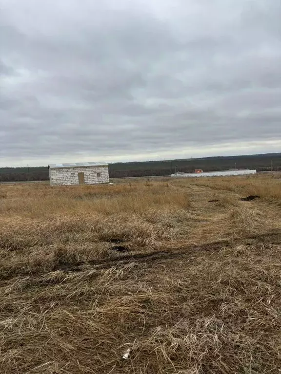 Участок в Ростовская область, Аксайский район, Мишкинская ст-ца ... - Фото 0