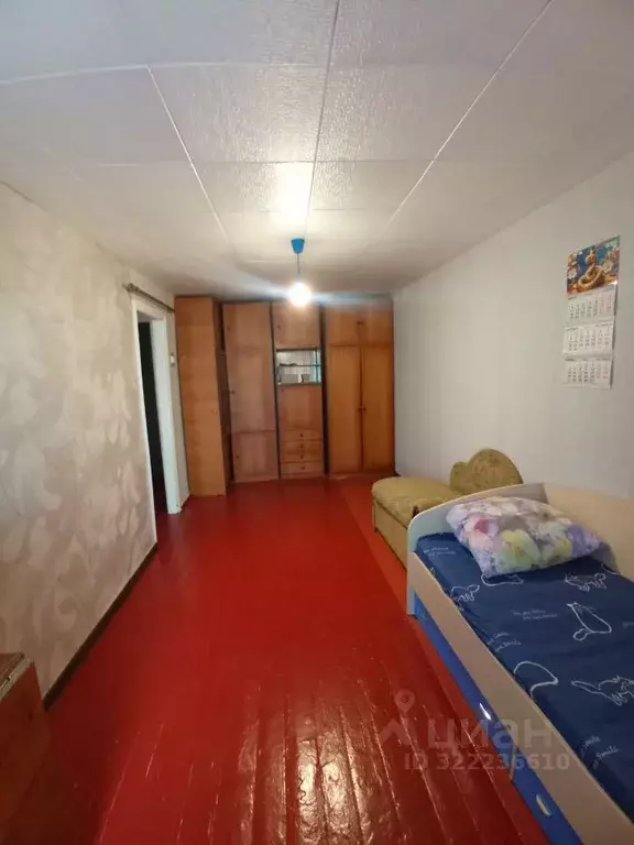 1-к кв. Нижегородская область, Бор ул. Ленина, 172 (30.0 м) - Фото 1