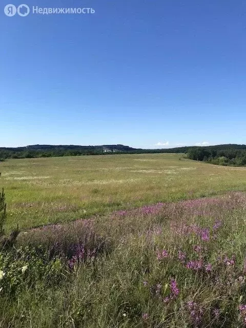 Участок в село Скалистое, улица Калинина, 12 (3.84 м) - Фото 0