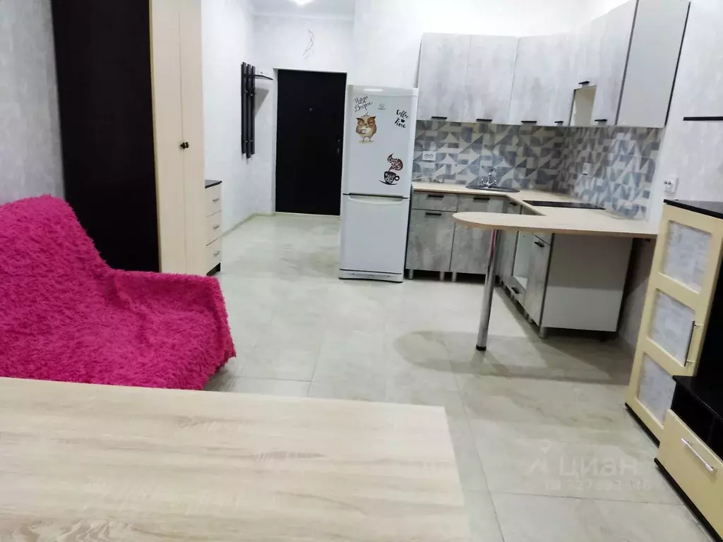 Студия Ростовская область, Ростов-на-Дону Привокзальная ул., 3/1 (28.0 ... - Фото 1