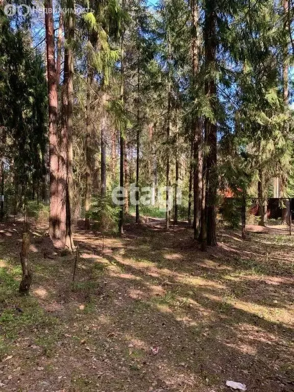 Участок в Ленинградская область, Гатчинский муниципальный округ, ... - Фото 2