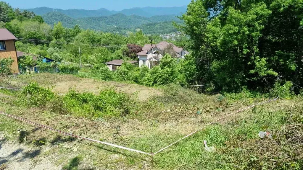 Участок в Краснодарский край, Сочи Чаевод СНТ, Яблоня кв-л, 56 (8.0 ... - Фото 1