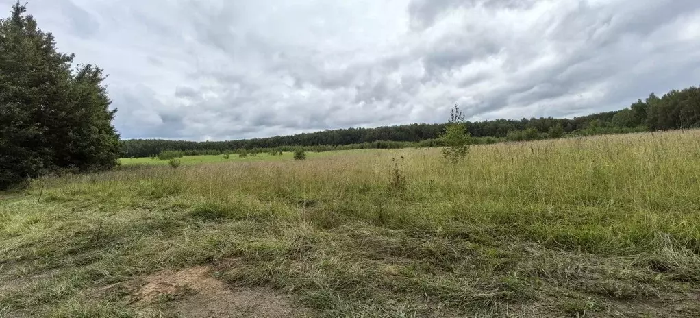 Участок в Московская область, Ступино городской округ, д. Кишкино ул. ... - Фото 2