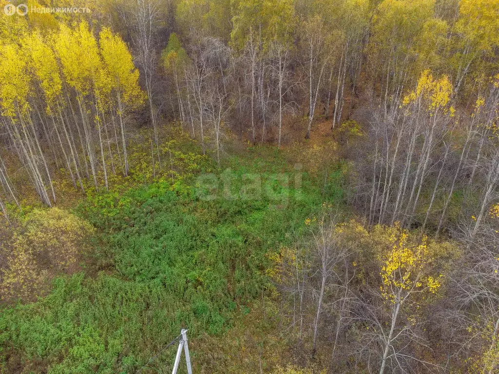 Участок в Тюмень, ДНТСН Зелёный Бор (6 м) - Фото 2