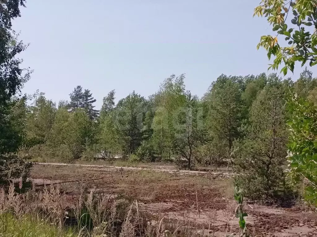 Склад в Калужская область, Дзержинский муниципальный округ, д. ... - Фото 1