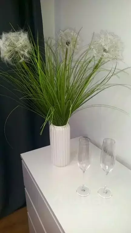 Студия Татарстан, Казань ул. Аметьевская магистраль, 16к2 (28.0 м) - Фото 2