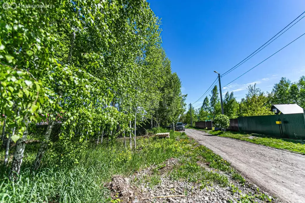 Участок в Искитимский район, Мичуринский сельсовет, СНТ Исток, ... - Фото 1