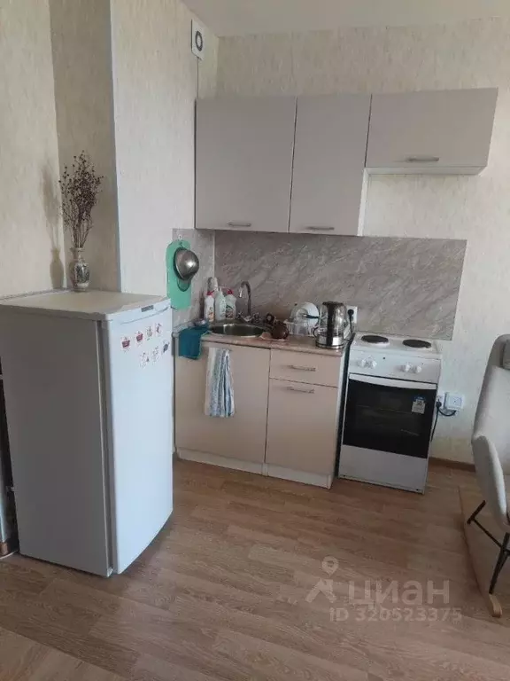 Студия Ленинградская область, Мурино Всеволожский район, просп. ... - Фото 2