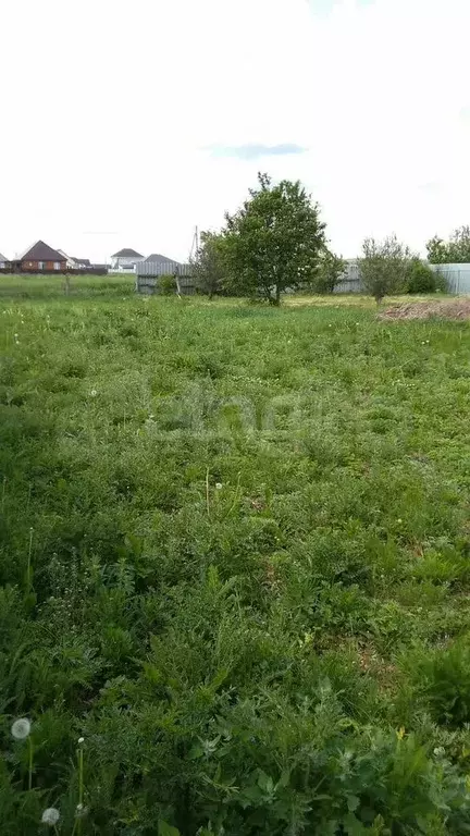 Участок 8,07 га (личное подсобное хозяйство (лпх)) - Фото 1