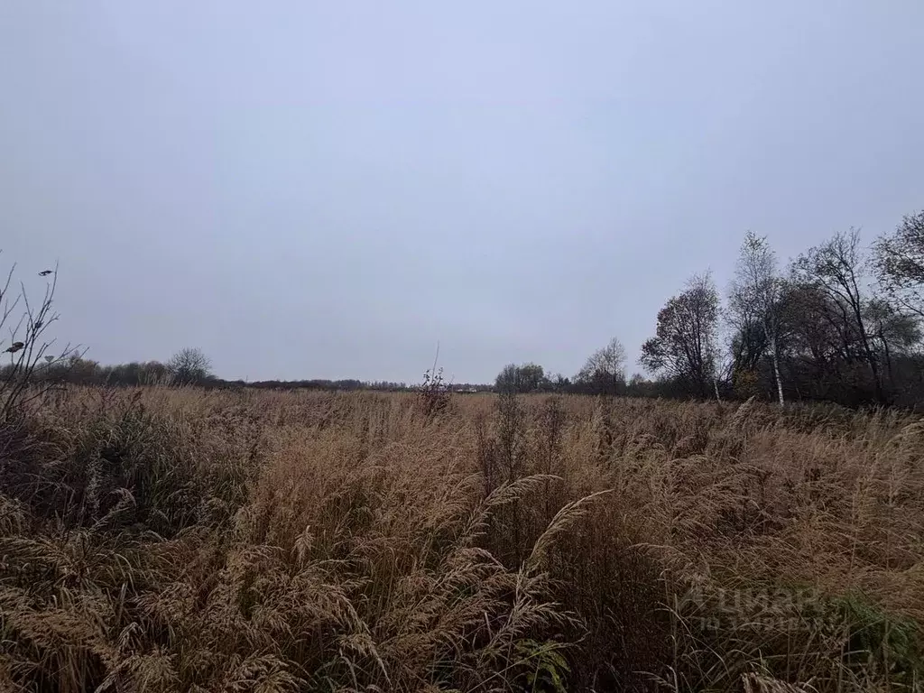 Участок в Московская область, Клин городской округ, д. Еросимово  ... - Фото 2