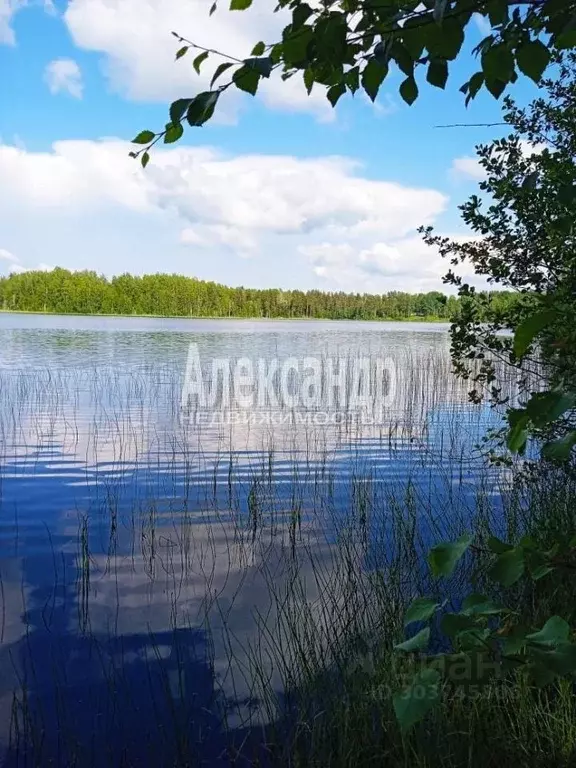 2-к кв. Карелия, Лахденпохья ул. Малиновского, 10 (43.8 м) - Фото 1