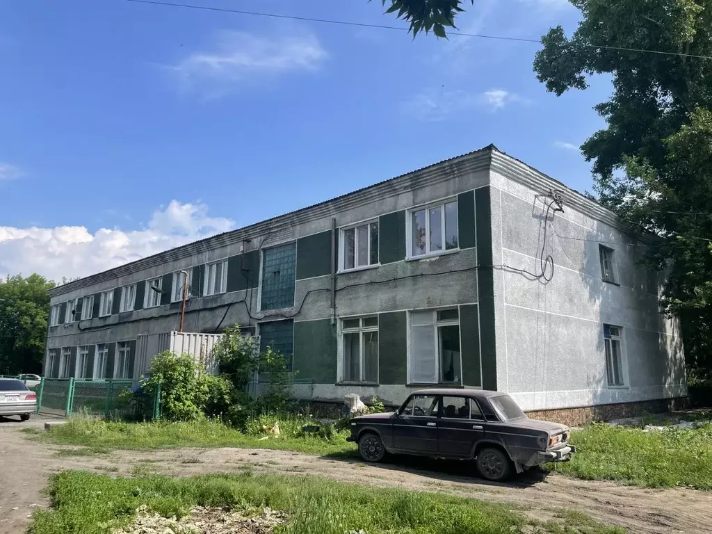 Помещение свободного назначения в Новосибирская область, с. Здвинск ... - Фото 0