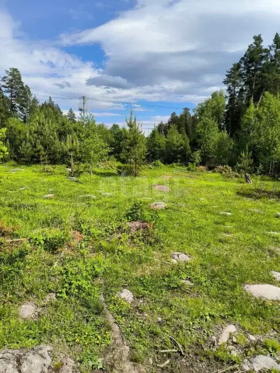 Участок в Алтай, Турочакский район, с. Верх-Бийск  (20.0 сот.) - Фото 1