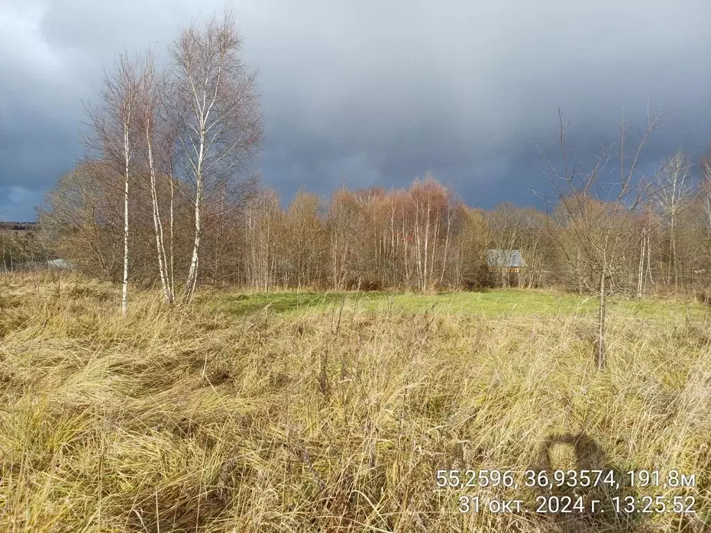 Участок в Московская область, Наро-Фоминский городской округ, д. ... - Фото 1