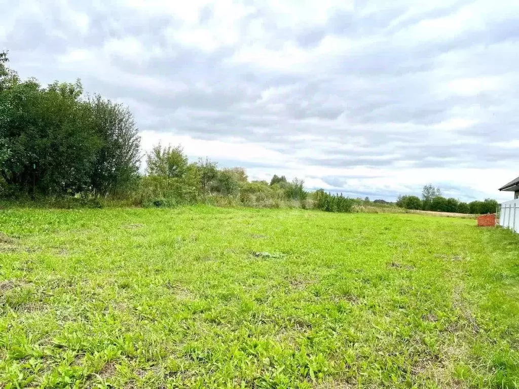 Участок в Мордовия, Саранск городской округ, д. Танеевка ул. ... - Фото 1