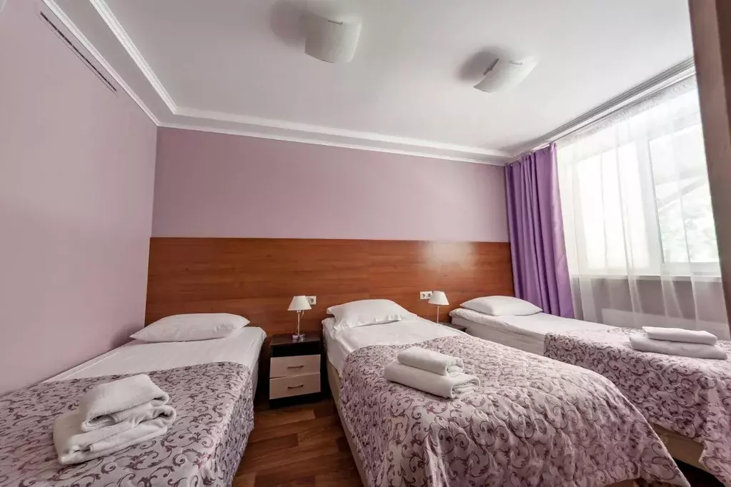 Комната Московская область, Одинцовский городской округ, д. Сватово 6 ... - Фото 2