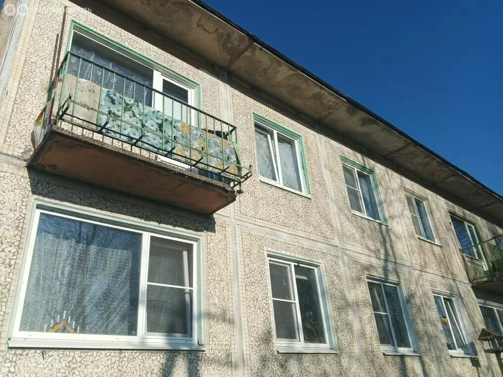 2-комнатная квартира: Волосовский район, Большеврудское сельское ... - Фото 1