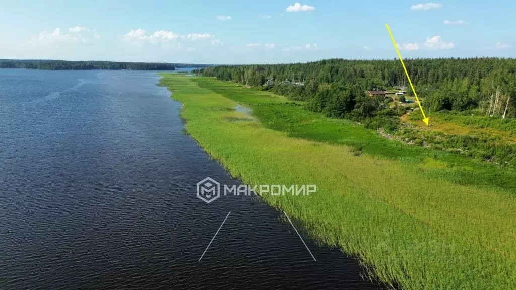 Участок в Ленинградская область, Выборгский район, Приморское ... - Фото 2