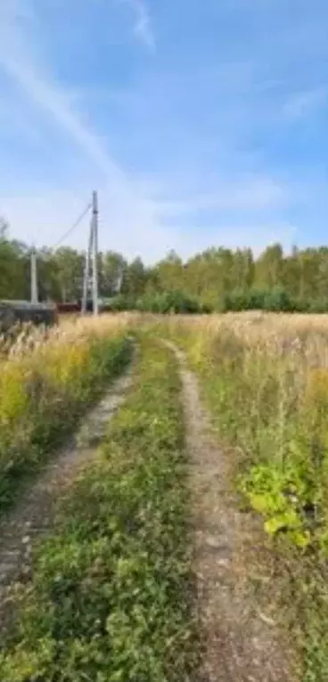 Участок в Московская область, Раменский муниципальный округ, д. ... - Фото 2