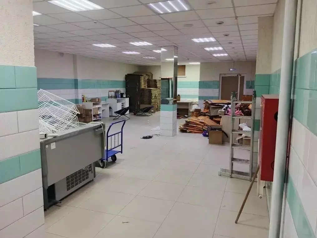 Помещение свободного назначения в Новосибирская область, Новосибирский ... - Фото 2