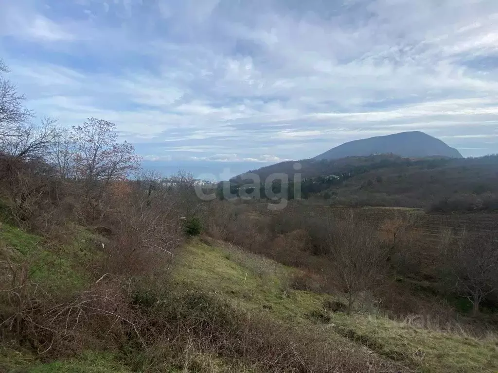 Участок в Крым, Алушта муниципальный округ, с. Нижнее Запрудное ул. ... - Фото 1