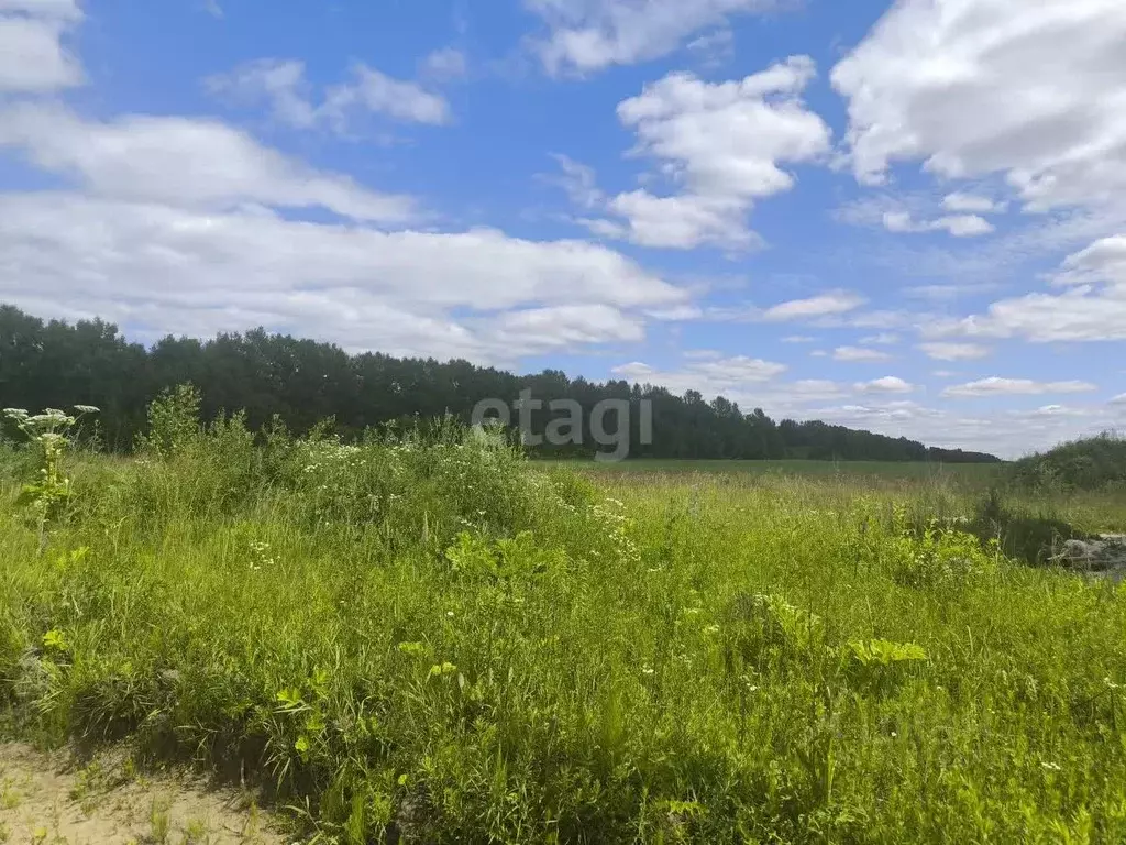 Участок в Владимирская область, Муром с. Ковардицы,  (8.3 сот.) - Фото 1