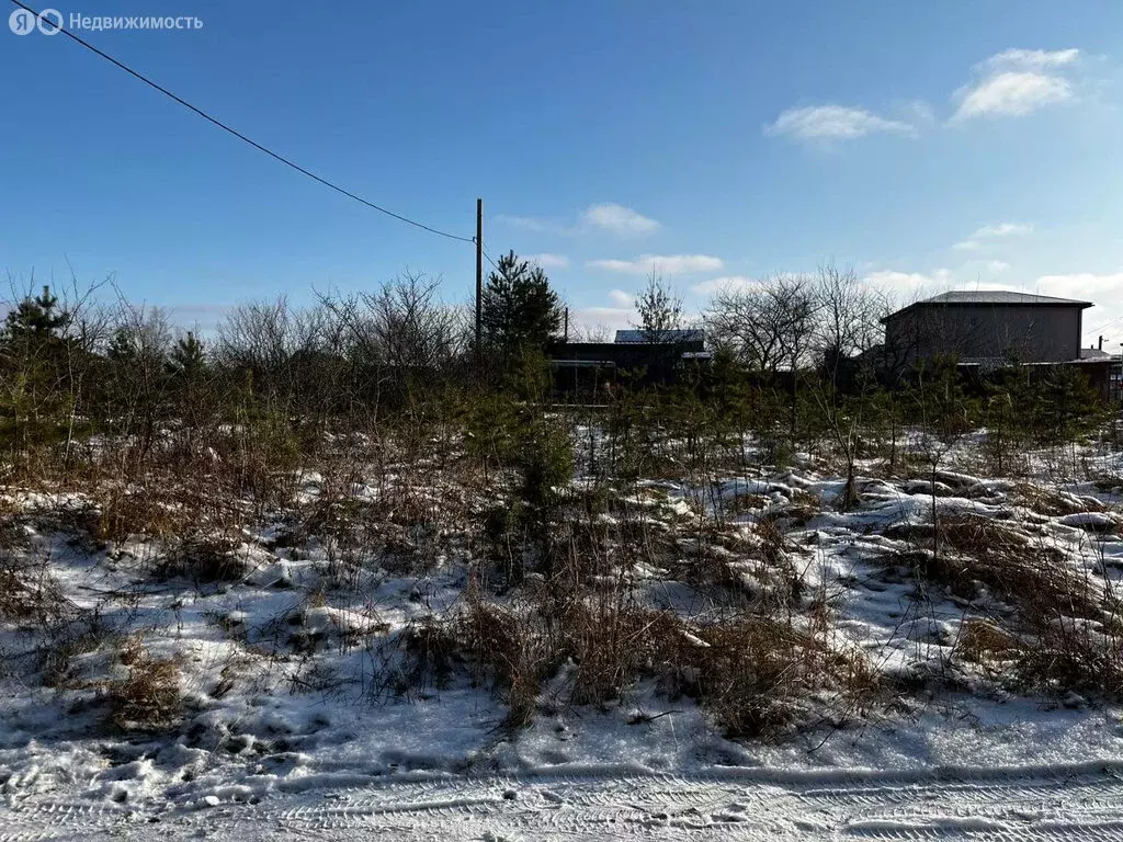 Участок в деревня Нижняя Лужна, Сосновая улица (7 м) - Фото 0