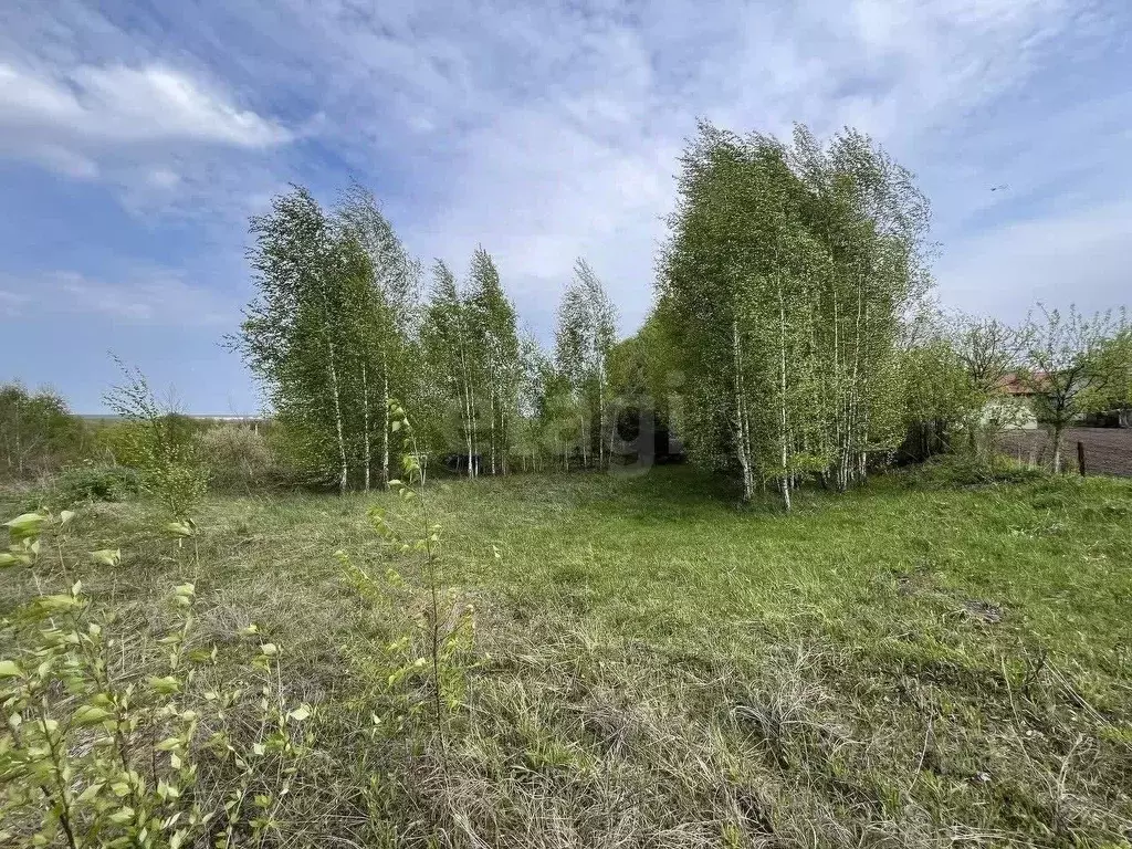 Участок в Брянская область, Брянский район, Отрадненское с/пос, с. ... - Фото 1