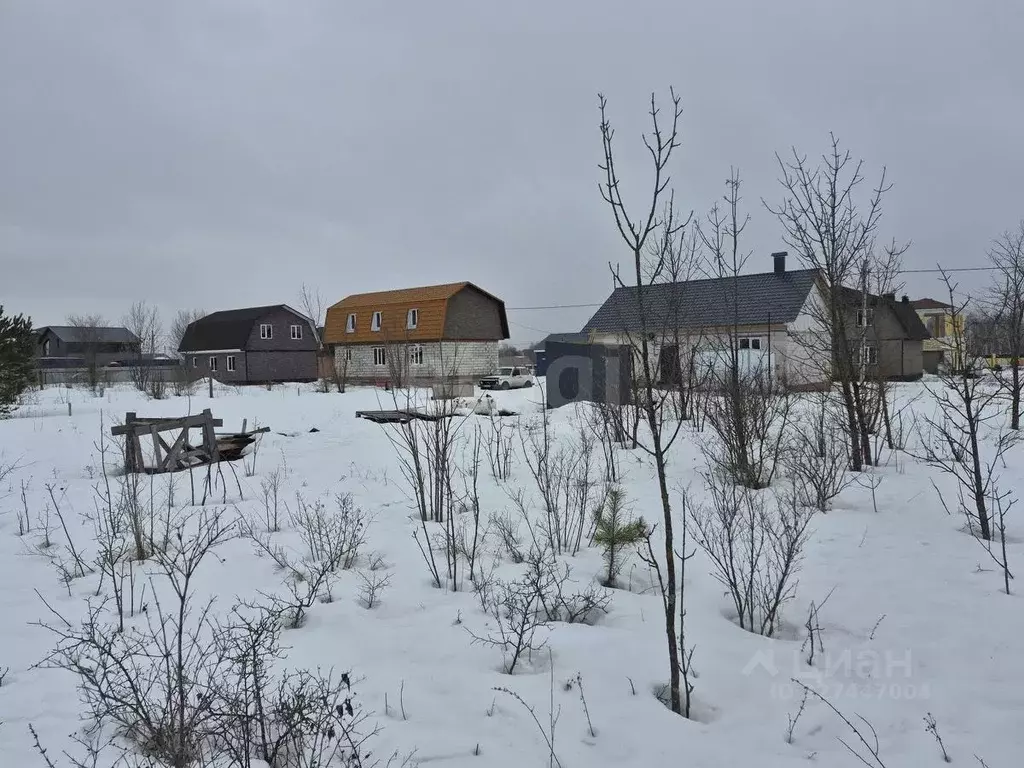 Участок в Воронежская область, Борисоглебск ул. Придорожная, 17 (6.43 ... - Фото 1