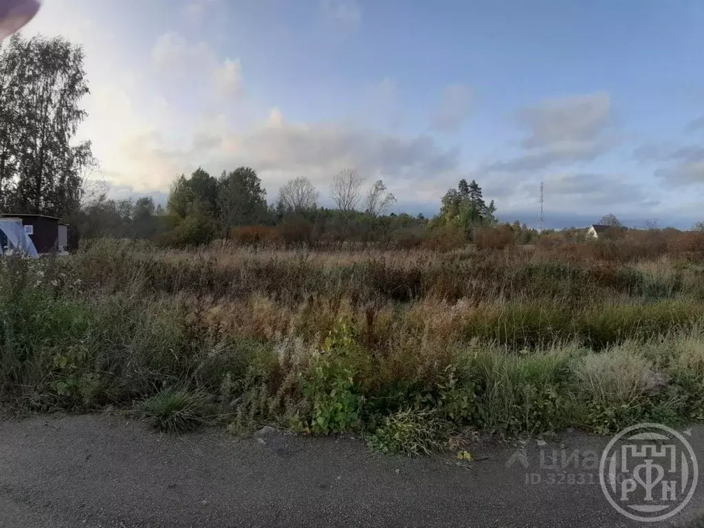 Участок в Ленинградская область, Приозерский район, Ларионовское ... - Фото 2