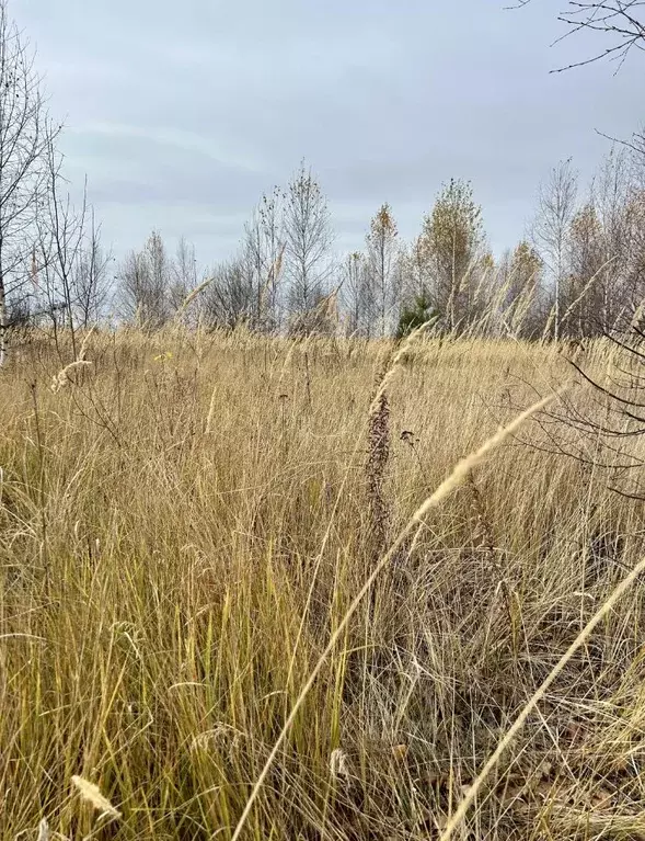 Участок в Марий Эл, Йошкар-Ола городской округ, д. Шоя-Кузнецово ул. ... - Фото 2